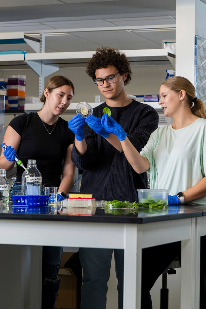 students observe a biological sample in a lab